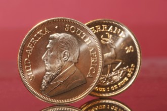 Close-up of two Krugerrand gold coins