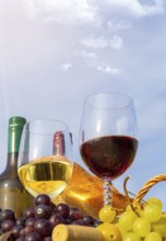 Symbolic image: Ripe grapes decorated with wine glasses on a wooden table