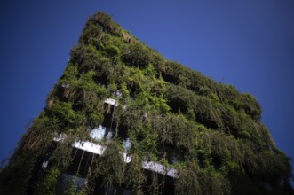 Climate-neutral façade greening on the new building, office building of CMS Hasche Sigle, Calwer