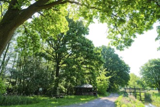 Refuge and lock on the Friedrichskanal and Dannefelder Moorgraben in the UNESCO Drömling Biosphere