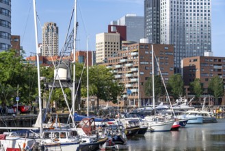 Rotterdam Marina, behind residential high-rise buildings at Spoorweghaven, pleasure craft harbour,