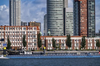 Harbour basin of the Maashaven, inland waterway port, jetties, residential buildings in the Kop van