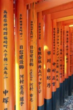 Torii gates, Fushimi Inari-Taisha shrine, Kyoto, Japan, Asia