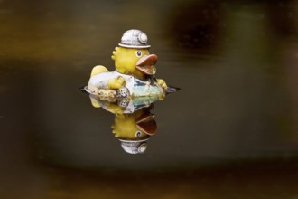 Miner's rubber duck swimming in the sewage basin of the disused Hansa coking plant, Dortmumd, Ruhr