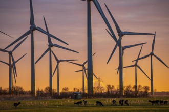 Wind farm near the East Frisian town of Norden, east of the town, sunset, Lower Saxony, Germany,