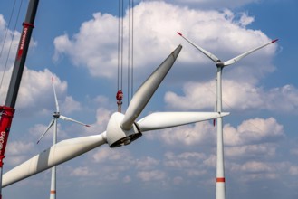 Repowering of a wind farm near Issum, 9 older wind turbines from the manufacturer Enercon (model