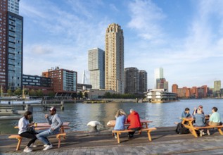 View of the skyline of Rotterdam, from the Fenix Food Factory, market hall and restaurants, on the