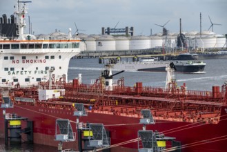 Petroleumhaven, Vopak Terminal Europoort, crude oil tank farm, over 99 large tanks, and 22 loading