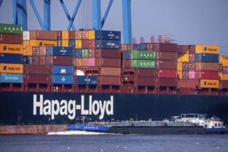 Container Terminal Altenwerder, Hapag-Lloyd container ship Frankfurt Express during loading and