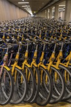 Bicycles at the OV-Fiets rental station, at Utrecht Central Station, hundreds of rental bikes