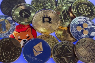 Various cryptocurrencies, symbol coins, optical placeholder for the digital currency, blockchain,