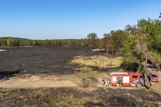 Forest fire in the German-Dutch border region near Niederkrüchten-Elmpt, in a nature reserve,