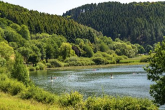 Meerfelder Maar, Vulkaneifel, Vulkansee, Eifel, Rhineland-Palatinate, Germany, Europe