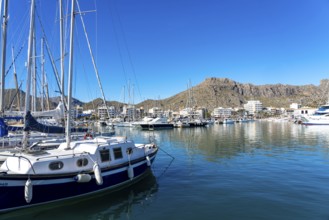 Port de Polença, harbour, in the northwest of, Majorca, Spain, Europe