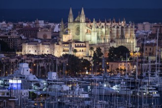 Panorama of Palma de Majorca, Bay of Palma, with the marina and the Cathedral of St Mary, Balearic