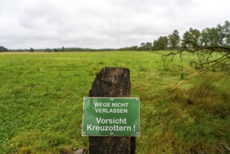 The Pietzmoor, raised bog in the Lüneburg Heath nature reserve, warning of adder snakes, near