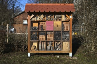 Insect hotel, bee hotel, Waiblingen, Baden-Württemberg, Germany, Europe