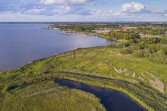 Aerial view of Lake Dümmer, nature reserve, reeds, shore, Ochsenmoor, Hüde, Lower Saxony, Germany,