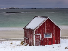 Red rorbuer fisherman's hut on the beach in the snow, Ramberg, Flakstadøya, Lofoten, Norway, Europe