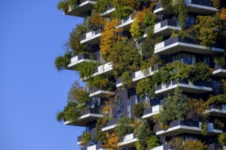 Bosco Verticale, twin tower, green tower block with trees and shrubs, high-rise buildings,