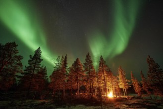 Man in the evening at a bivouac with campfire, Lapland, Sweden, Scandinavia, Europe