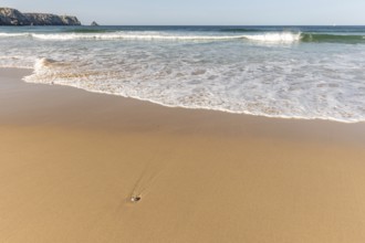 Fine sandy beach on the Atlantic coast. Camaret sur mer, Crozon, Finistere, Brittany, France,