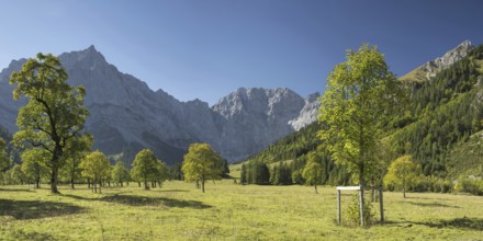 Großer Ahornboden, Karwendelgebirge, Tyrol, Austria, Europe