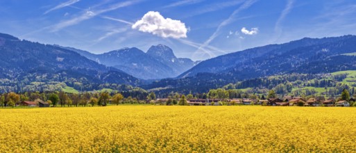 Mountain landscape with yellow flower field and a small village under a blue sky, rape field, Bad