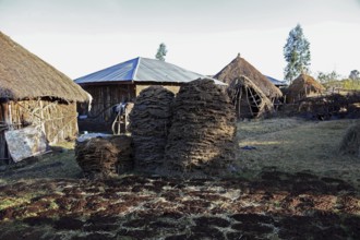 Europia district, small farm and pile of cow dung, Ethiopia, Africa