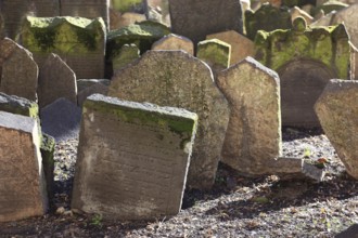 The Old Jewish Cemetery in the Josefov district is one of the most historically significant Jewish