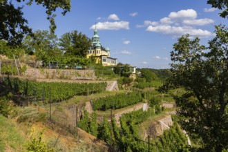 Weingut am Goldenen Wagen. The Spitzhaus is a former summer residence in the Saxon town of Radebeul