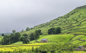 Farms in Yorkshire Dales National Park, North Yorkshire, England, United Kingdom, Europe