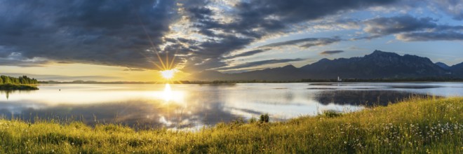 Sunrise at Forggensee, Ostallgäu, Allgäu, Swabia, Bavaria, Germany, Europe