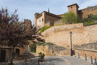 Historic fortress with stone walls and flowering trees along a cobbled path, Collegiate Church,