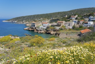 Greek coastal village with flower meadow and colourful houses on a sunny day, Mezapos, Mani,