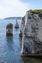 White Cliffs of Old Harry Rocks Jurassic Coast, Dorset Coast, Poole, England, United Kingdom,