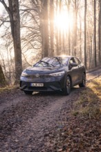 A car on a forest path at sunrise, surrounded by autumn leaves, Car Sharing, electric car,