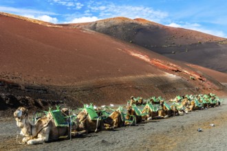 2016, Timanfaya National Park, Lanzarote, Fire Mountains of Timanfaya National Park, Montanas del