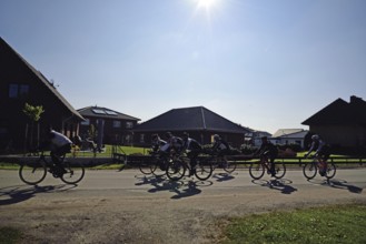 Radfahrer, Gruppe, Landstraße, Gegenlicht