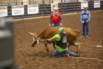 Oklahoma City, Oklahoma, The Great Plains Rodeo, an annual gay rodeo that features traditional