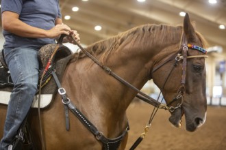 Oklahoma City, Oklahoma, The Great Plains Rodeo, an annual gay rodeo that features traditional