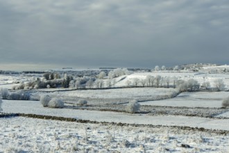 Aubrac plateau in winter. Lozere departement. Occitanie. France