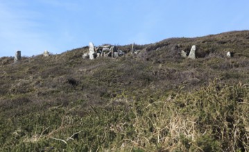 Standing stones field boundary wall, Cape Clear Island, County Cork, Ireland, Irish Republic,