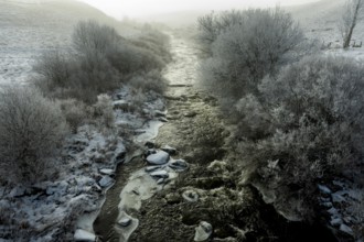 Aubrac plateau. Frozen river Bès. Lozere. Occitanie. France