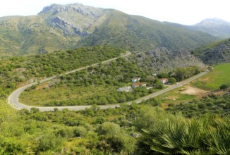 Mountain landscape of Serrania de Ronda, near Cueva de la Pileta, Malaga province, southern Spain