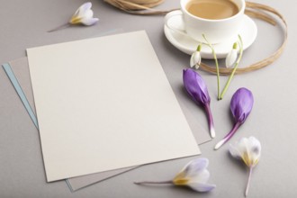 Gray paper sheet mockup with spring snowdrop crocus and galanthus flowers and cup of coffee on gray