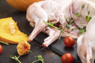 Whole raw rabbit with pumpkin, tomatoes, pea sprouts on a black concrete background and linen