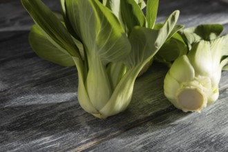 Fresh green bok choy or pac choi chinese cabbage on a gray wooden background. Hard light, contrast.