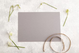 Gray paper sheet mockup with spring snowdrop galanthus flowers on gray concrete background. Blank,