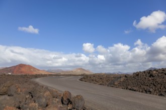 Road through lava fields, volcanic landscape, Lanzarote, Canary Islands, Canary Islands, Spain,